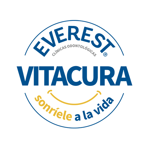 Everest Vitacura