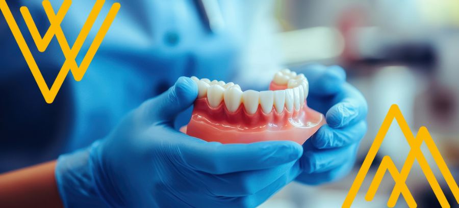 molde de mandíbula o maxilar con sus encías y dientes. contexto: encías blancas